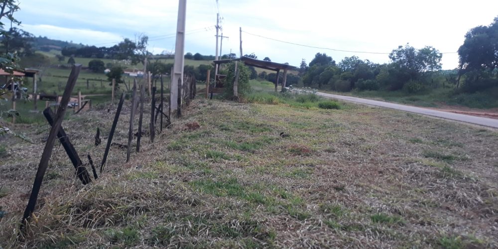 WhatsApp Image 2024-12-06 at 11.26.32