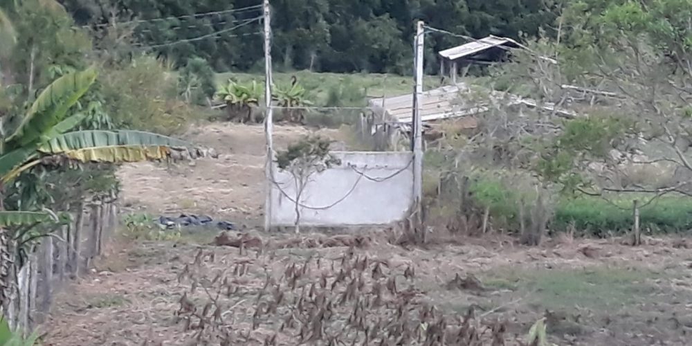 WhatsApp Image 2024-12-06 at 11.26.33 (2)