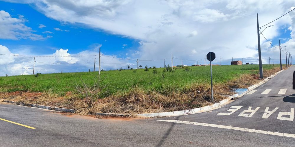 WhatsApp Image 2026-03-05 at 15.15.25