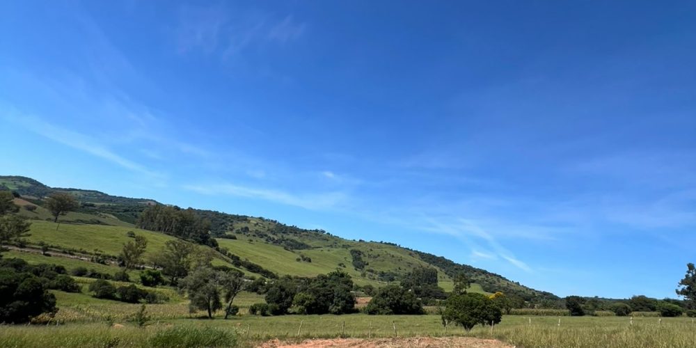 WhatsApp Image 2026-03-16 at 10.06.47 (2)