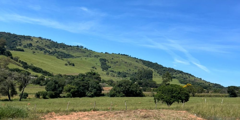 WhatsApp Image 2026-03-16 at 10.06.47