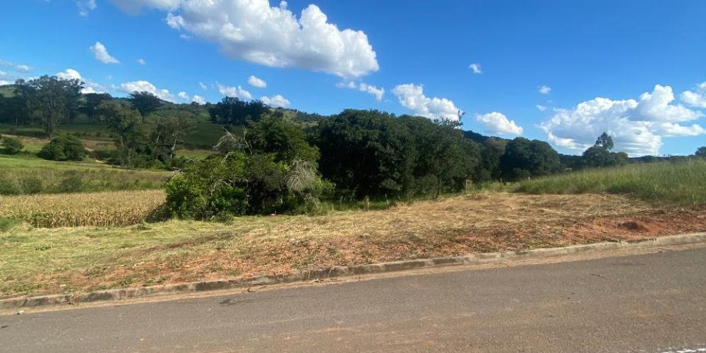 WhatsApp Image 2026-03-21 at 15.44.00