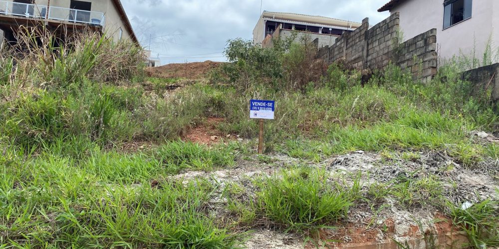 c2e98821-d70b-4272-bb51-75ffd06a91a8